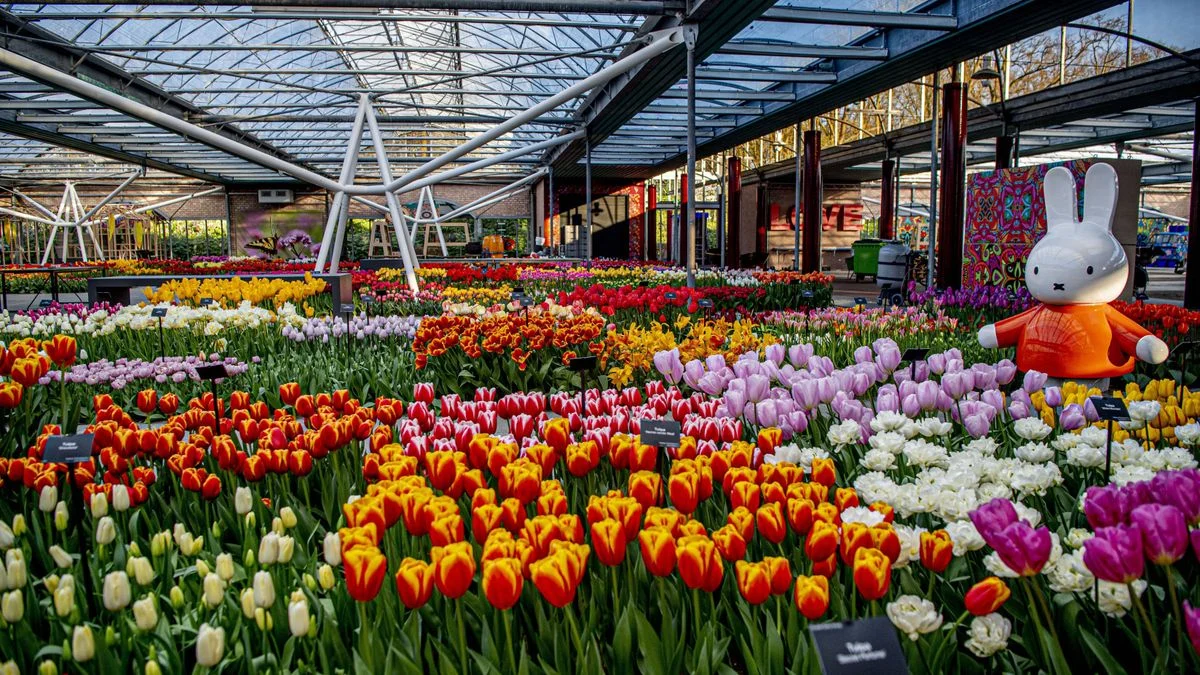 EXPOFLORA - HOLAMBRA1